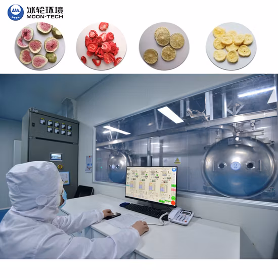 Industrielle Gemüse- und Obst-Dehydrierungsmaschine, Gemüse-Gefriertrockner, Gefriertrocknungsausrüstung